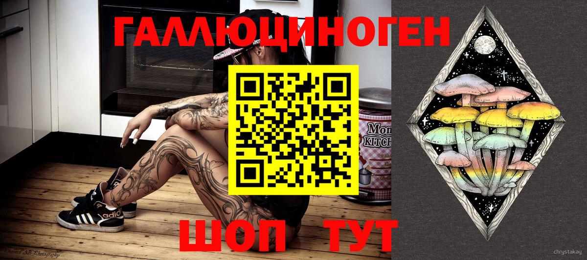Псилоцибиновые грибы Psilocybine cubensis Видное
